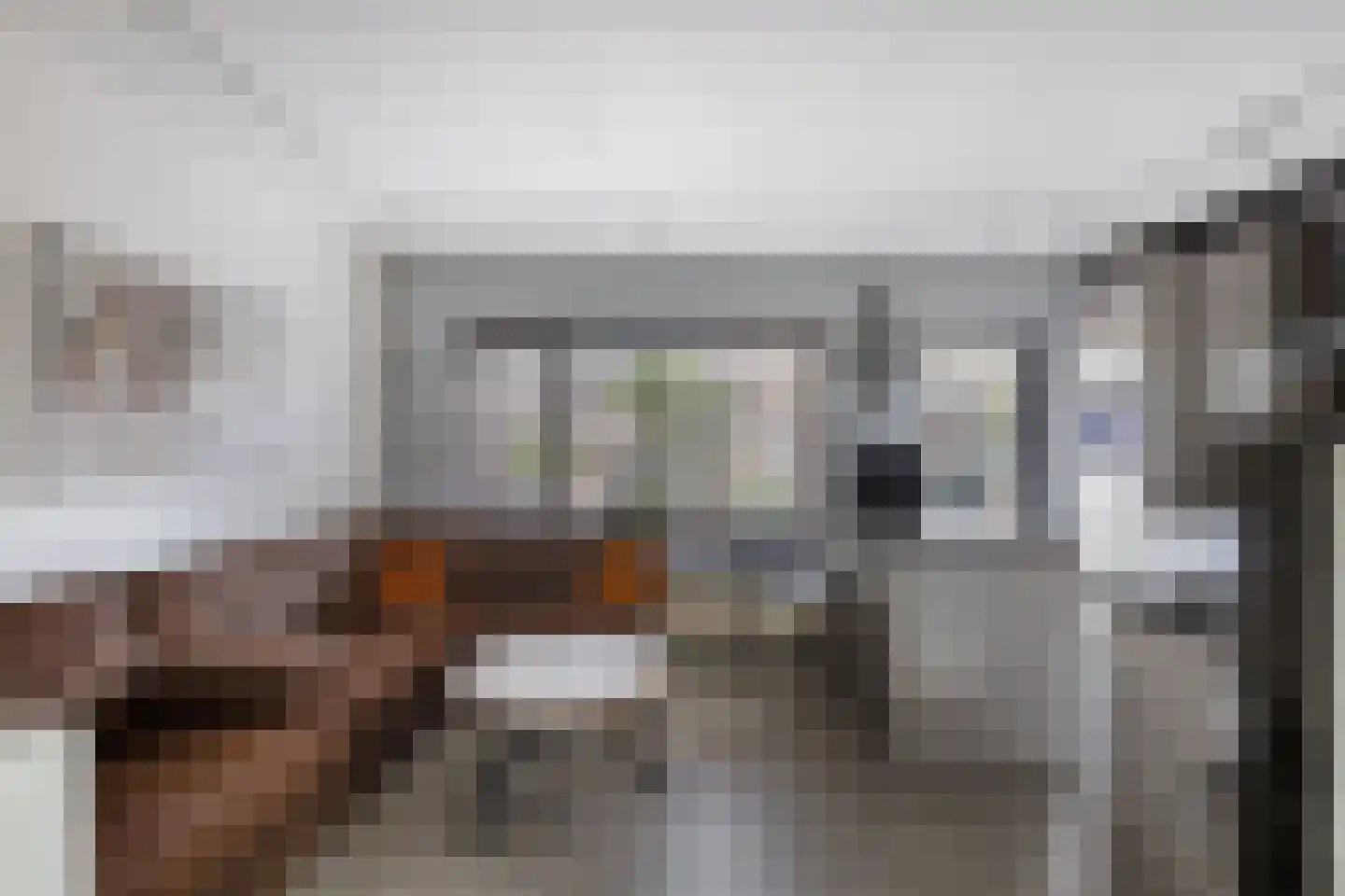 Zwanendaal 3 Nieuwerkerk aan den IJssel thumbnail 5