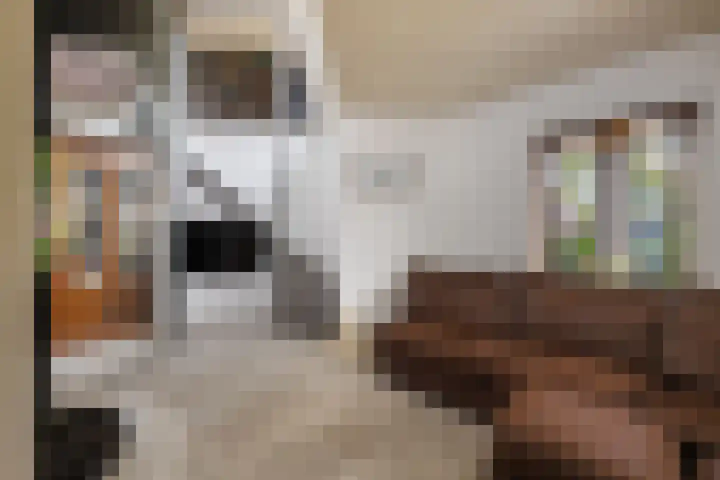 Zwanendaal 3 Nieuwerkerk aan den IJssel thumbnail 8