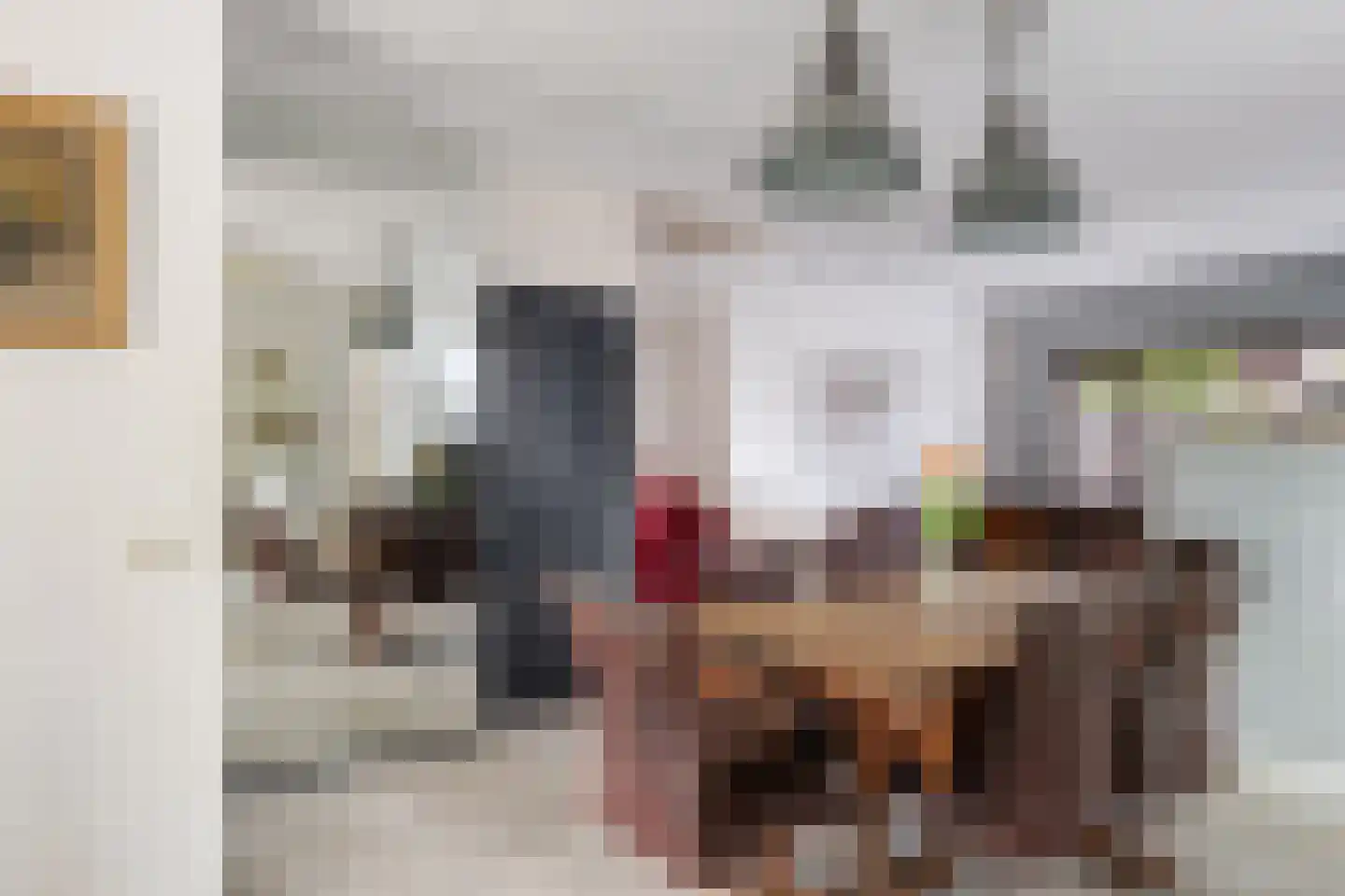 Zwanendaal 3 Nieuwerkerk aan den IJssel thumbnail 9