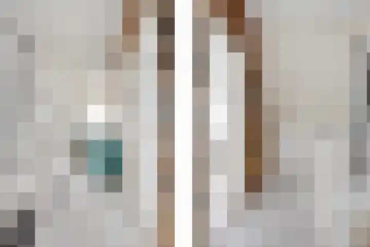 Zwanendaal 64 Nieuwerkerk aan den IJssel thumbnail 23