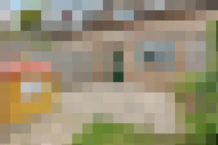 Zwanendaal 64 Nieuwerkerk aan den IJssel thumbnail 27