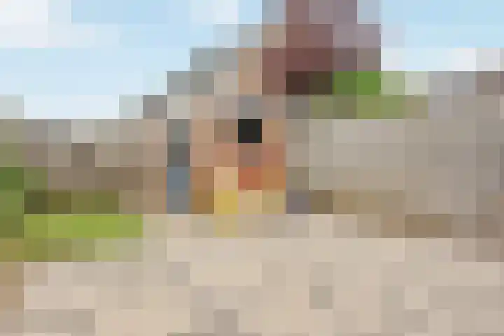 Zwanendaal 64 Nieuwerkerk aan den IJssel thumbnail 29