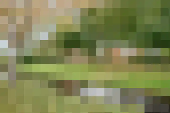 Zwanendaal 64 Nieuwerkerk aan den IJssel thumbnail 32