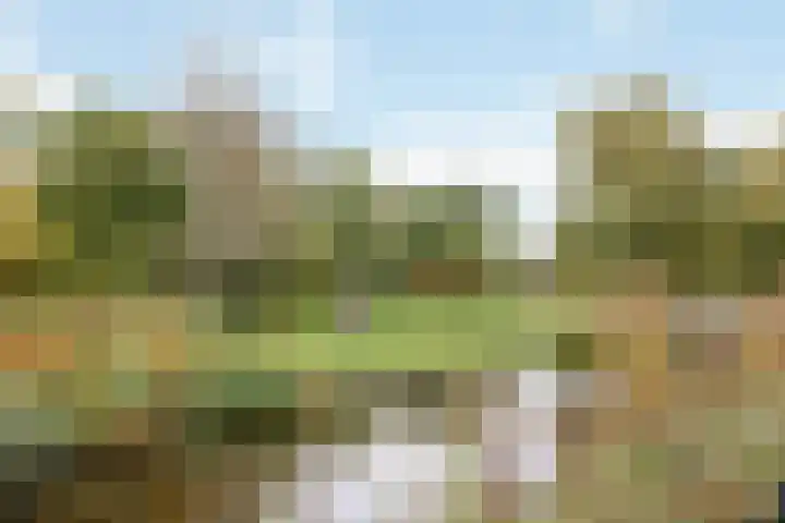 Zwanendaal 64 Nieuwerkerk aan den IJssel thumbnail 33