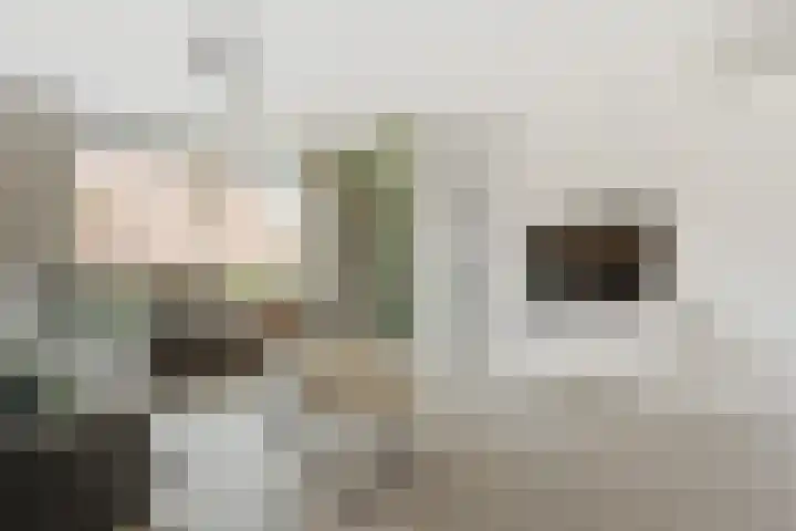 Zwanendaal 64 Nieuwerkerk aan den IJssel thumbnail 8