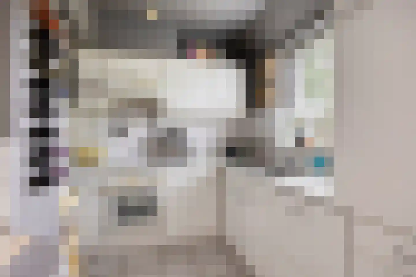 Zwanendonk 2 Oosterhout thumbnail 10