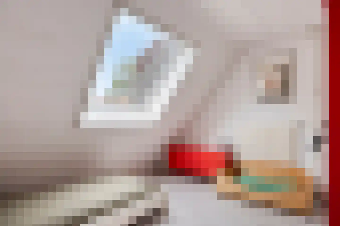 Zwanendonk 2 Oosterhout thumbnail 16
