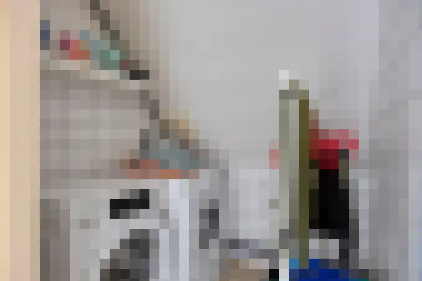 Zwanendonk 2 Oosterhout thumbnail 20