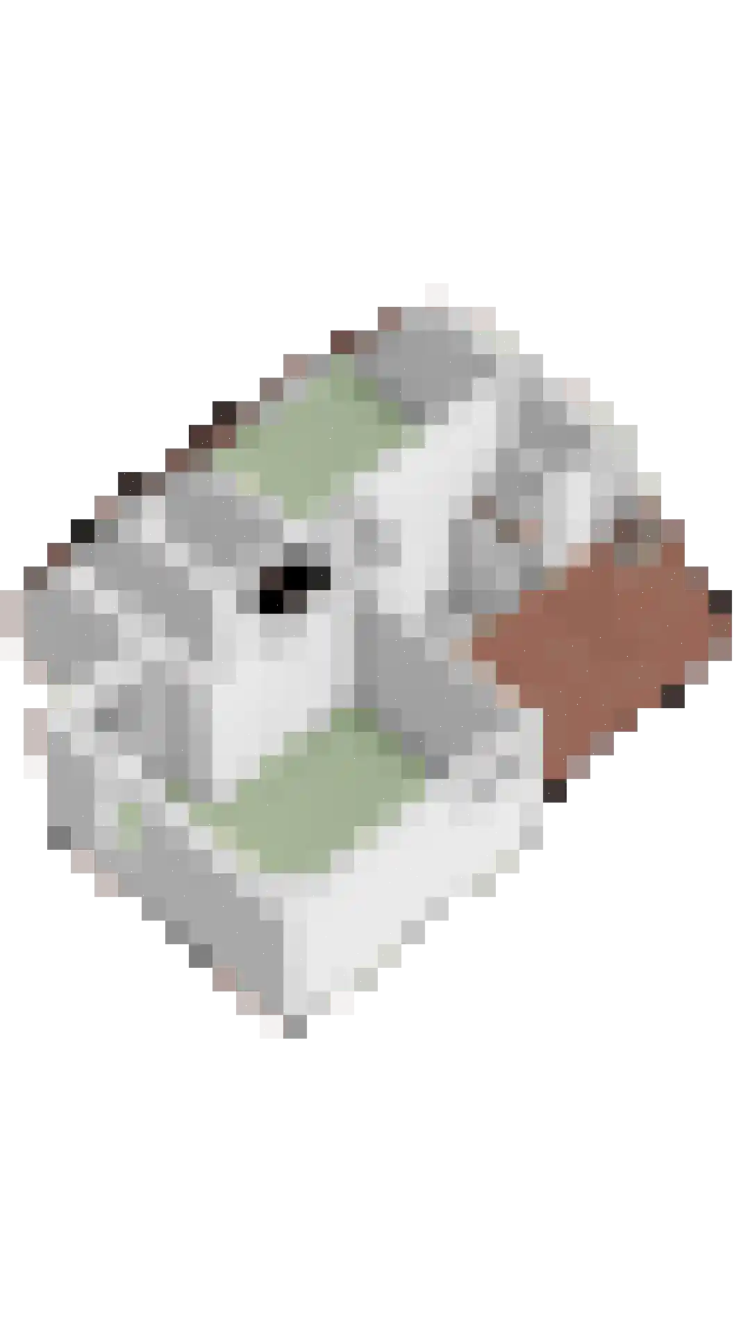 Zwanendonk 2 Oosterhout thumbnail 32