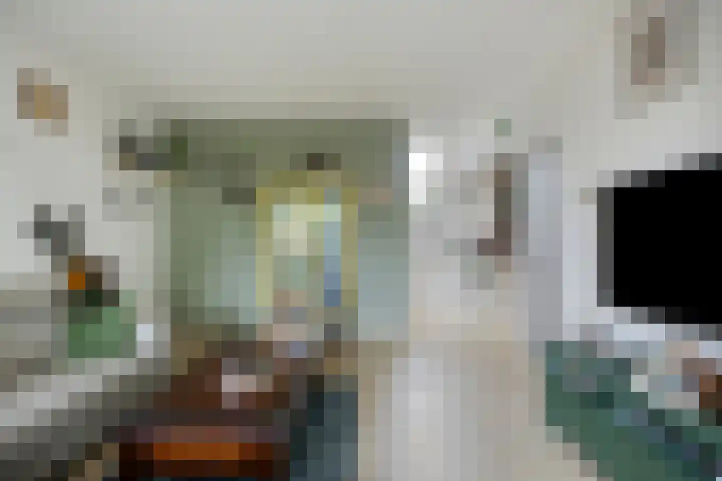 Zwanendonk 2 Oosterhout thumbnail 6