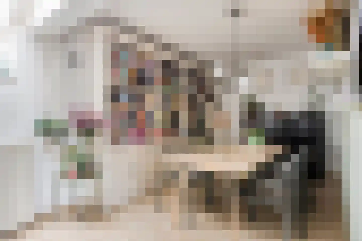 Zwanendonk 2 Oosterhout thumbnail 7