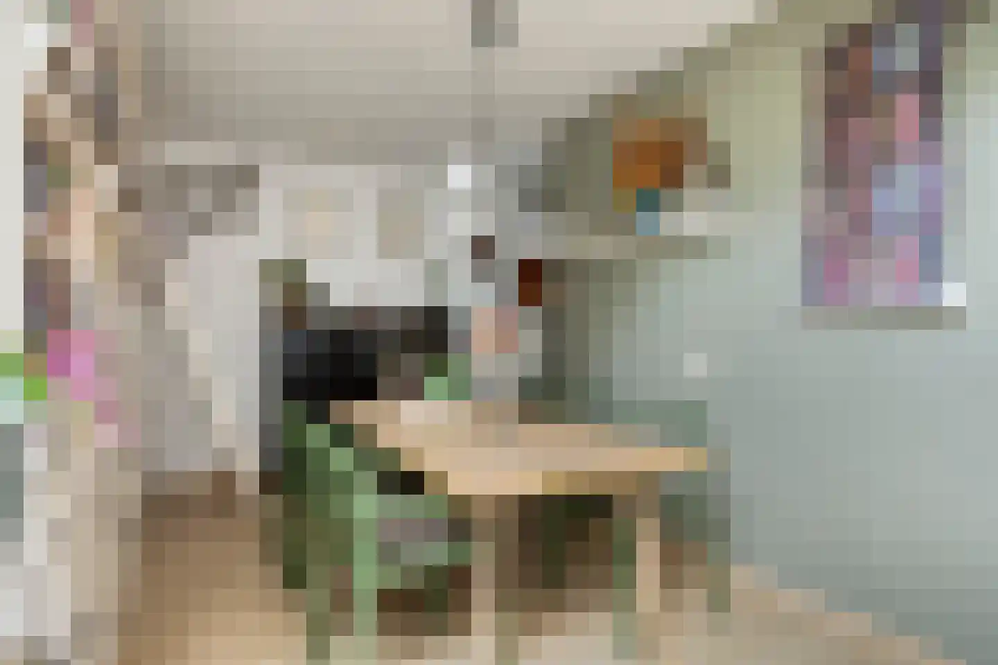 Zwanendonk 2 Oosterhout thumbnail 8