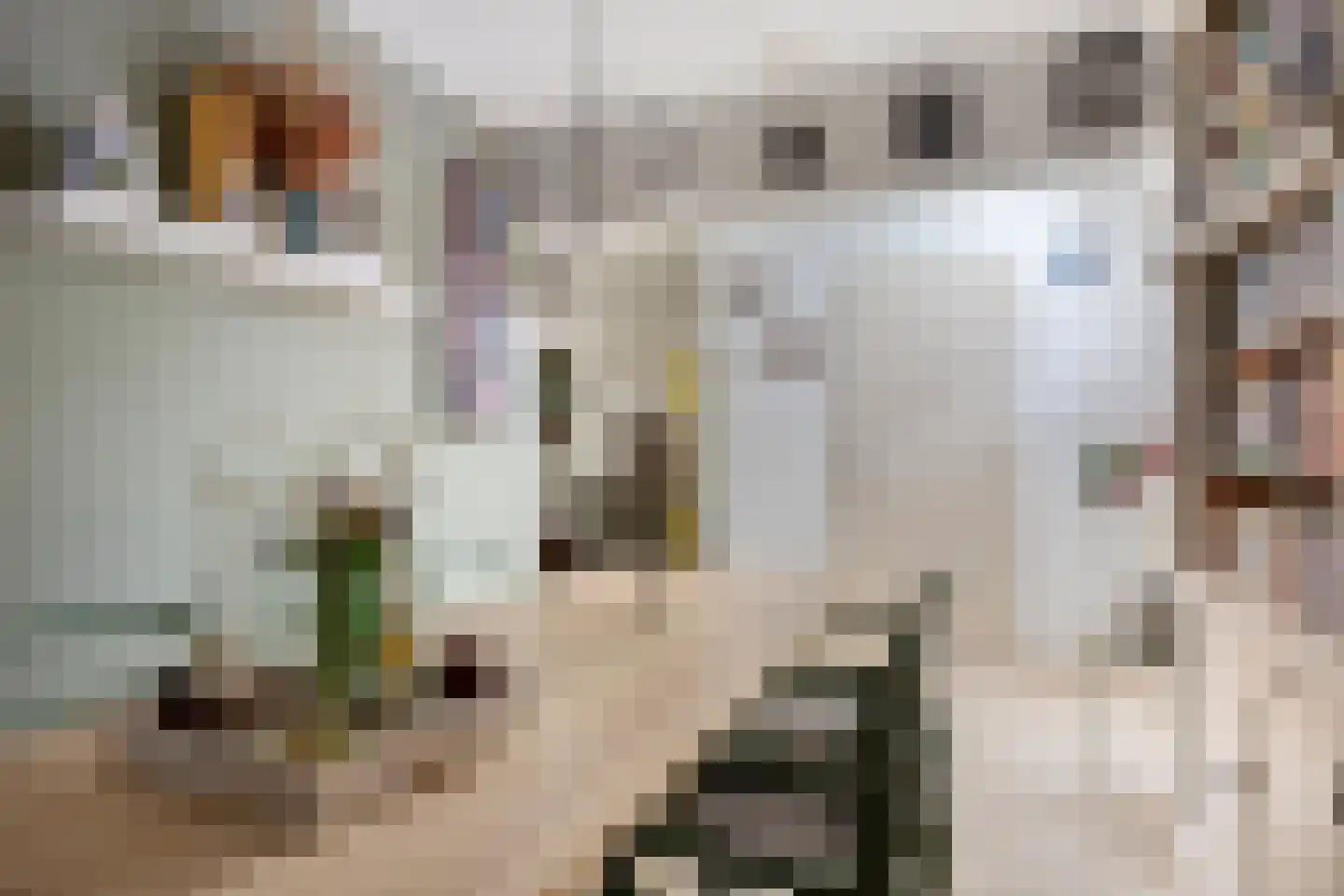 Zwanendonk 2 Oosterhout thumbnail 9