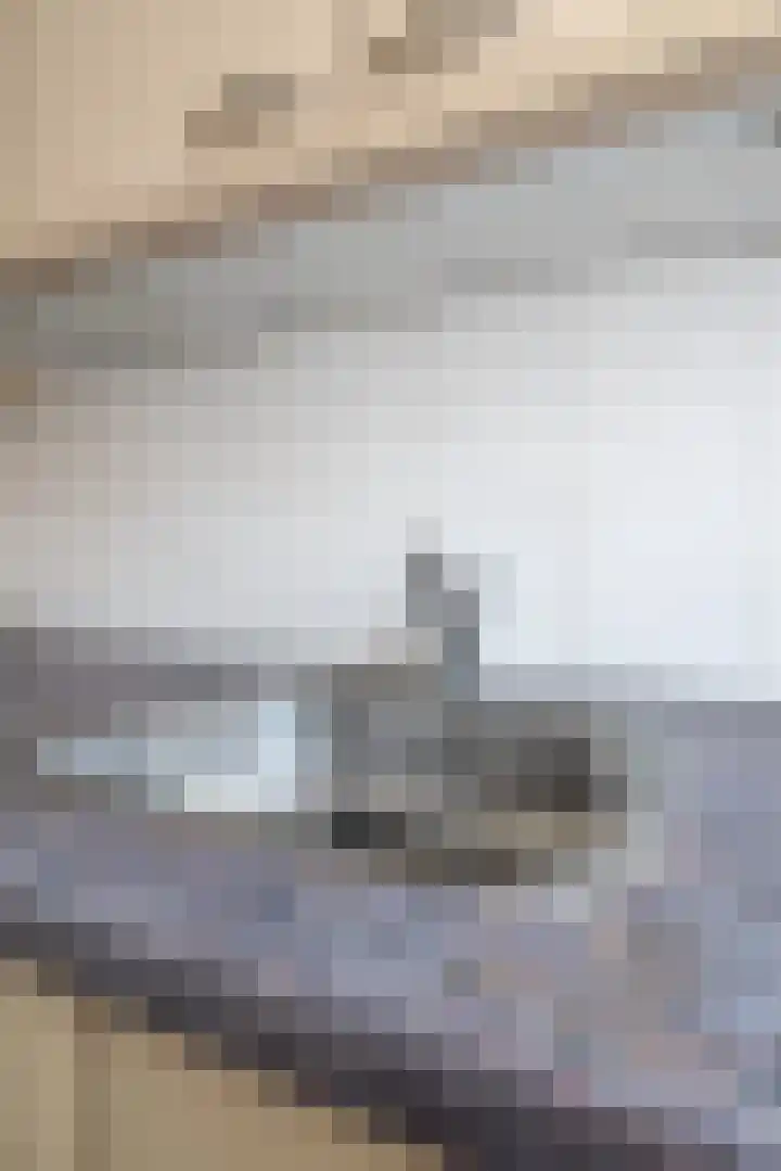 Zwanendonk 24 Oosterhout thumbnail 27