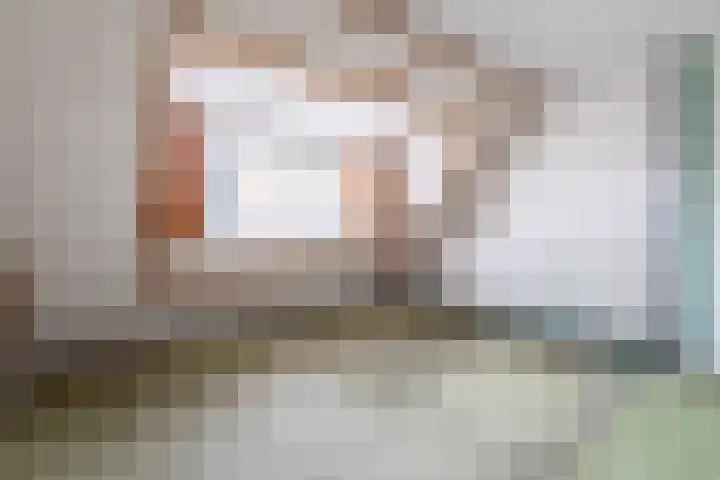 Zwanendonk 24 Oosterhout thumbnail 36