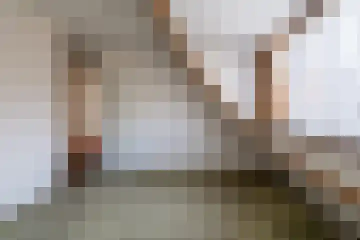 Zwanendonk 24 Oosterhout thumbnail 37