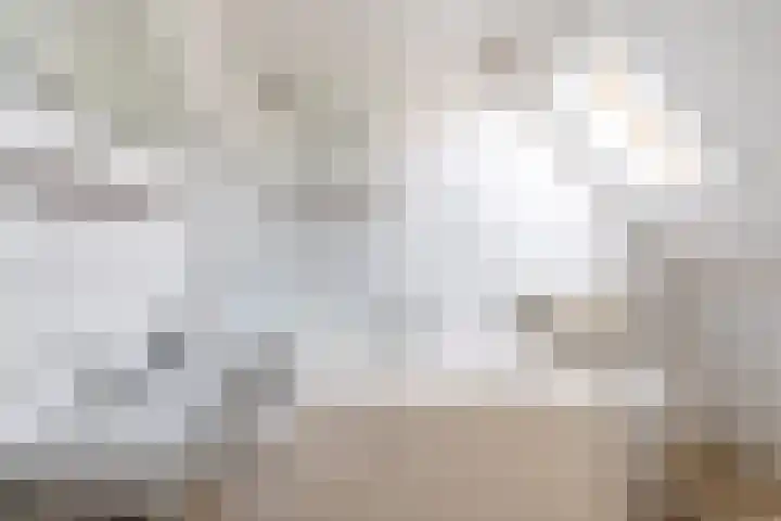 Zwanendonk 24 Oosterhout thumbnail 39