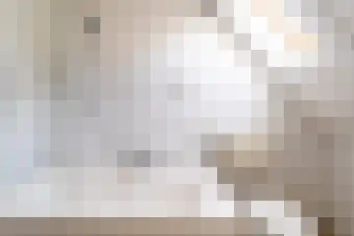 Zwanendonk 24 Oosterhout thumbnail 40