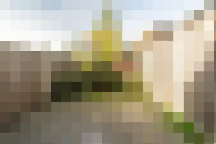 Zwanendonk 24 Oosterhout thumbnail 46