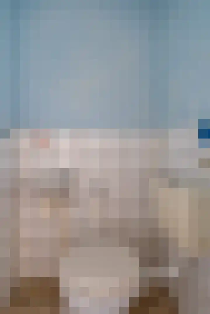 Zwanendonk 24 Oosterhout thumbnail 9