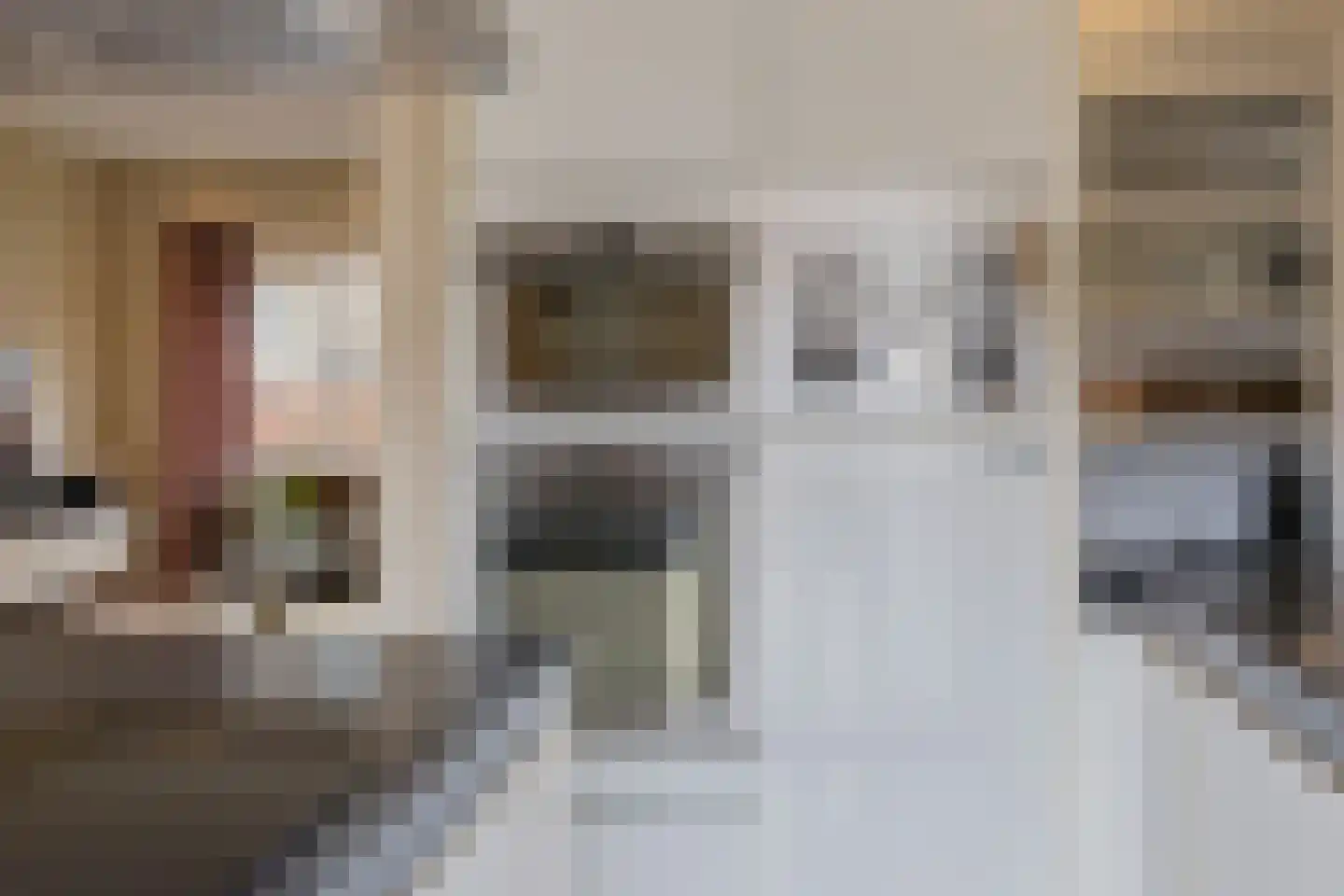 Zwanendreef 18 Lisse thumbnail 17