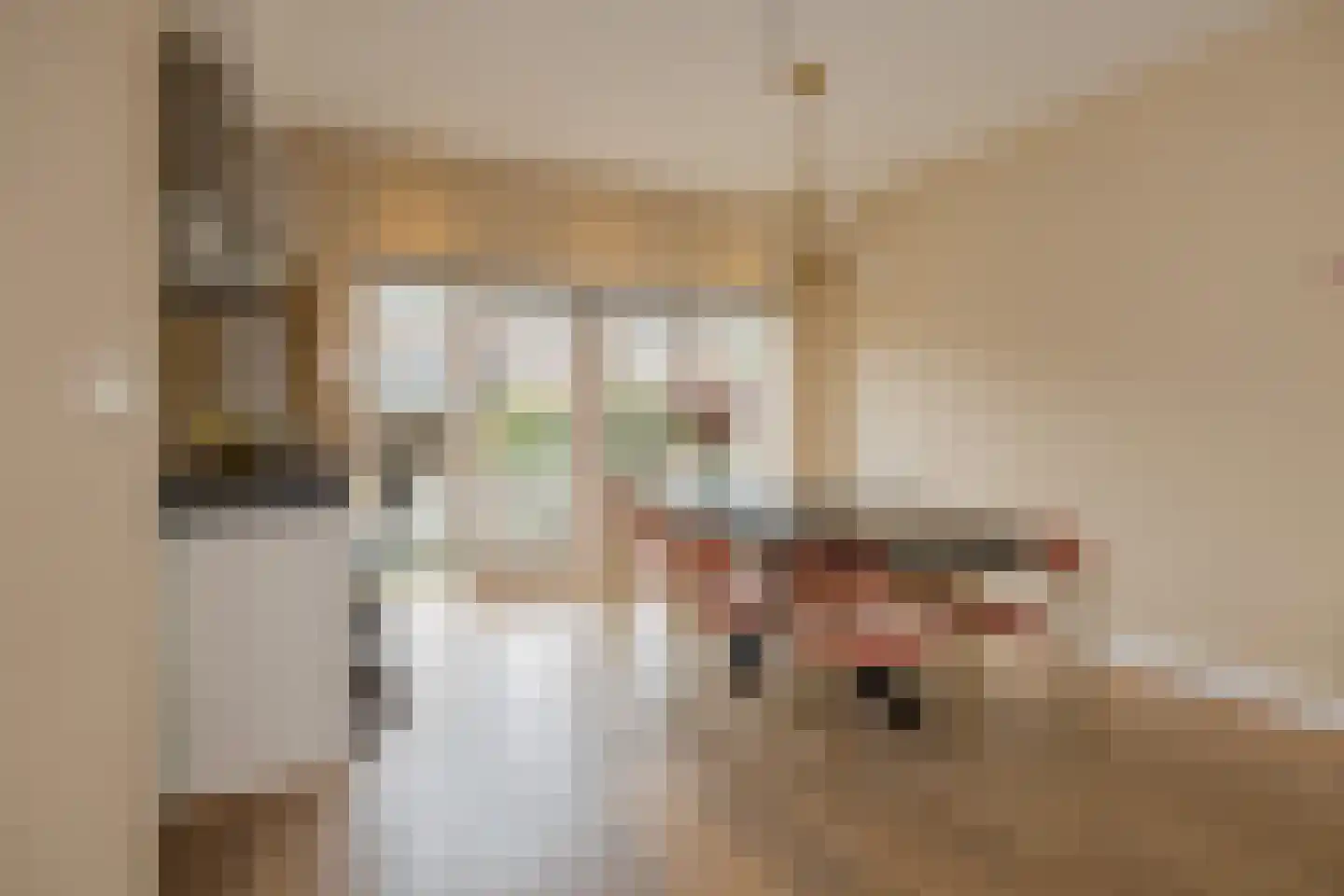 Zwanendreef 18 Lisse thumbnail 21