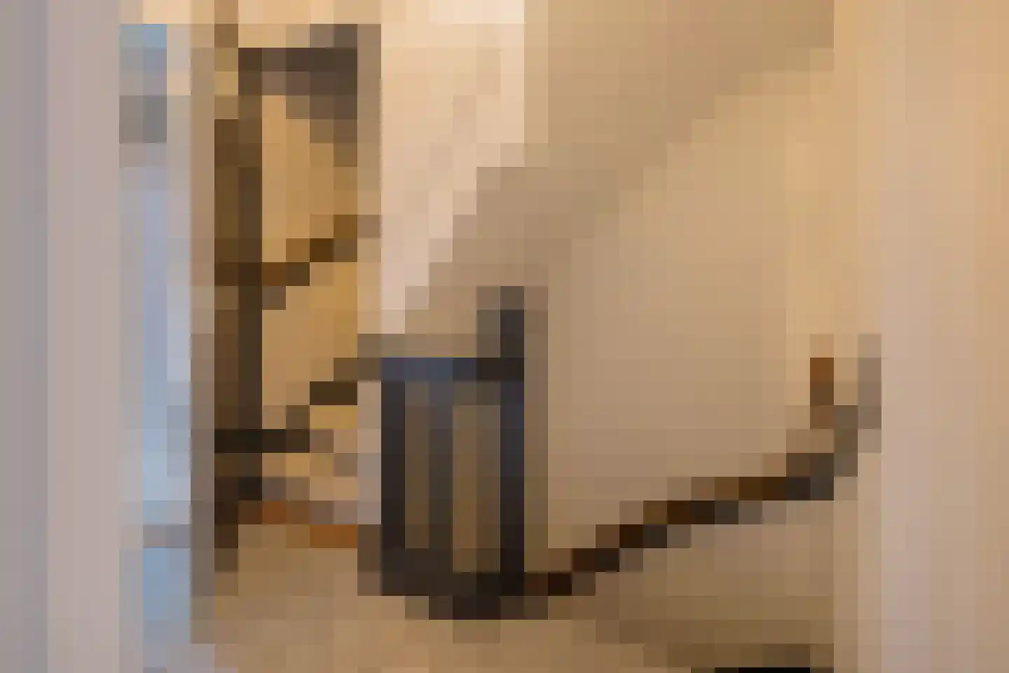 Zwanendreef 18 Lisse thumbnail 22