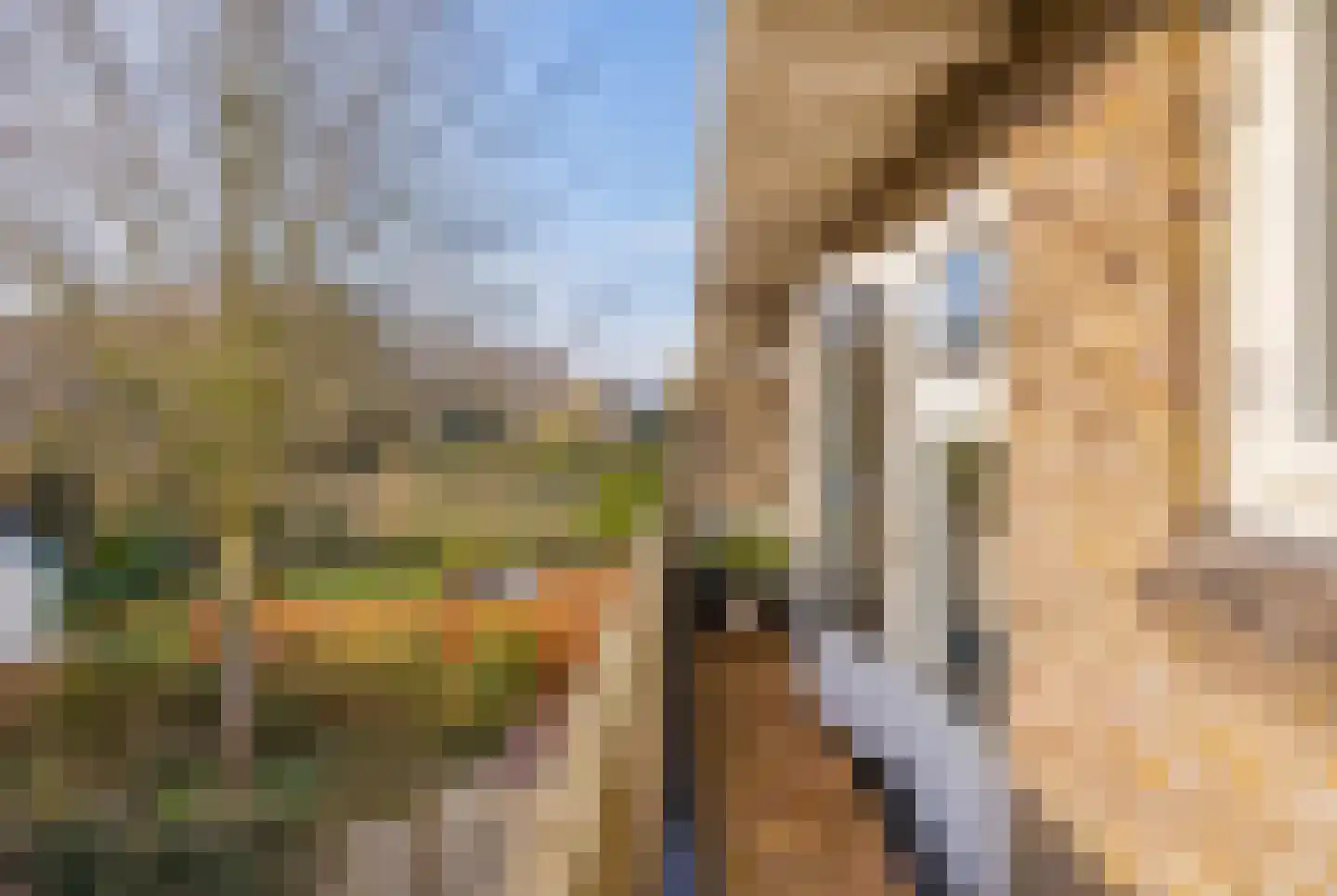 Zwanendreef 18 Lisse thumbnail 28