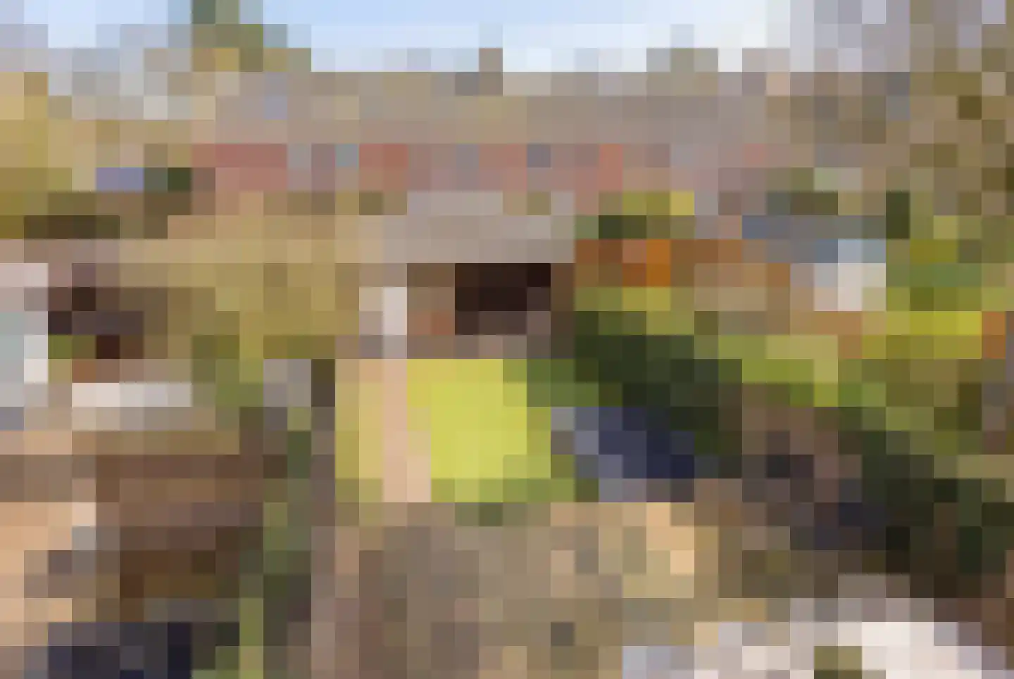 Zwanendreef 18 Lisse thumbnail 29