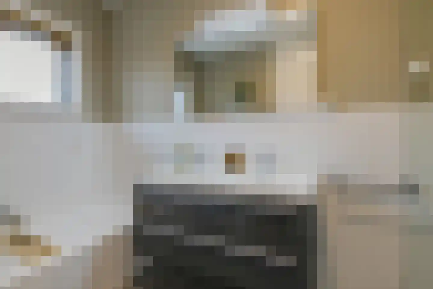 Zwanendreef 18 Lisse thumbnail 33