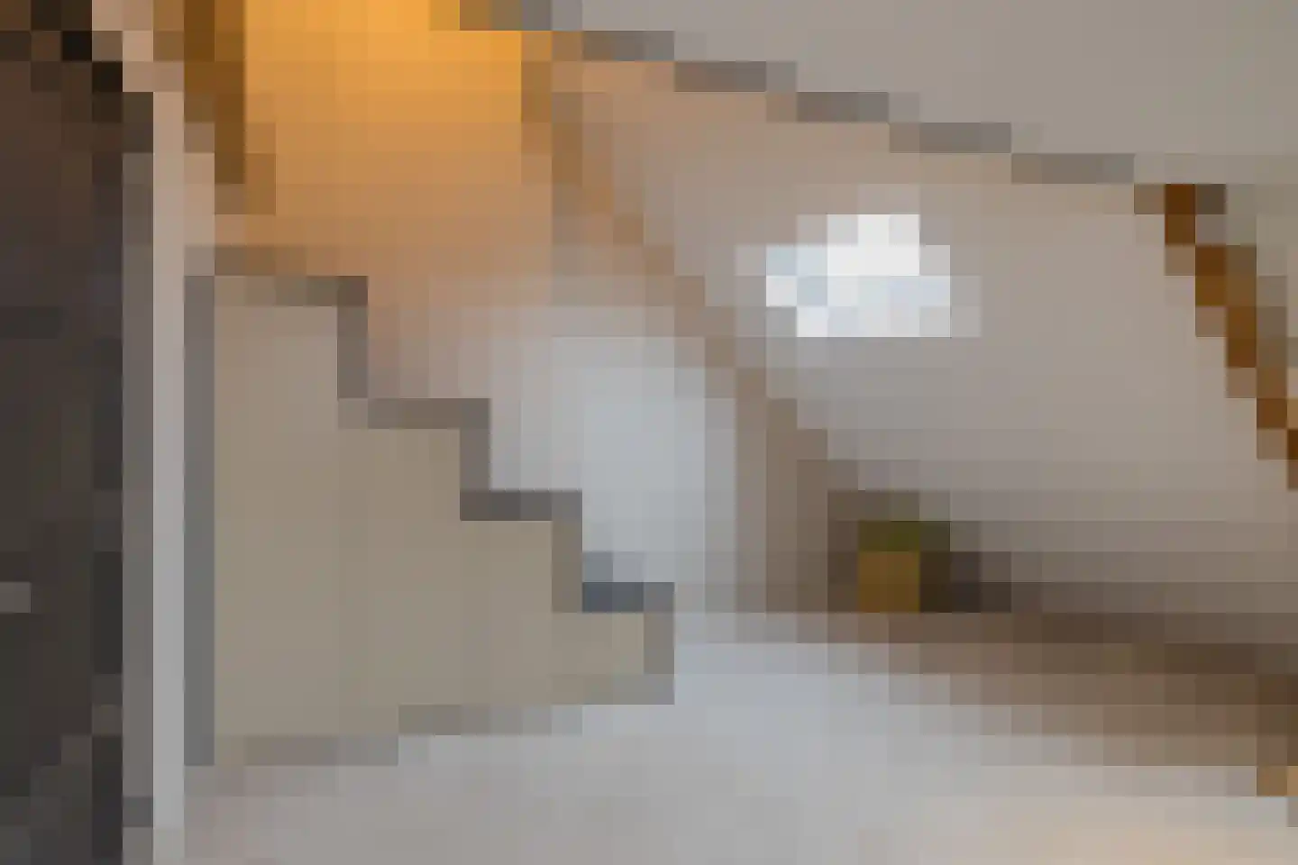 Zwanendreef 18 Lisse thumbnail 39