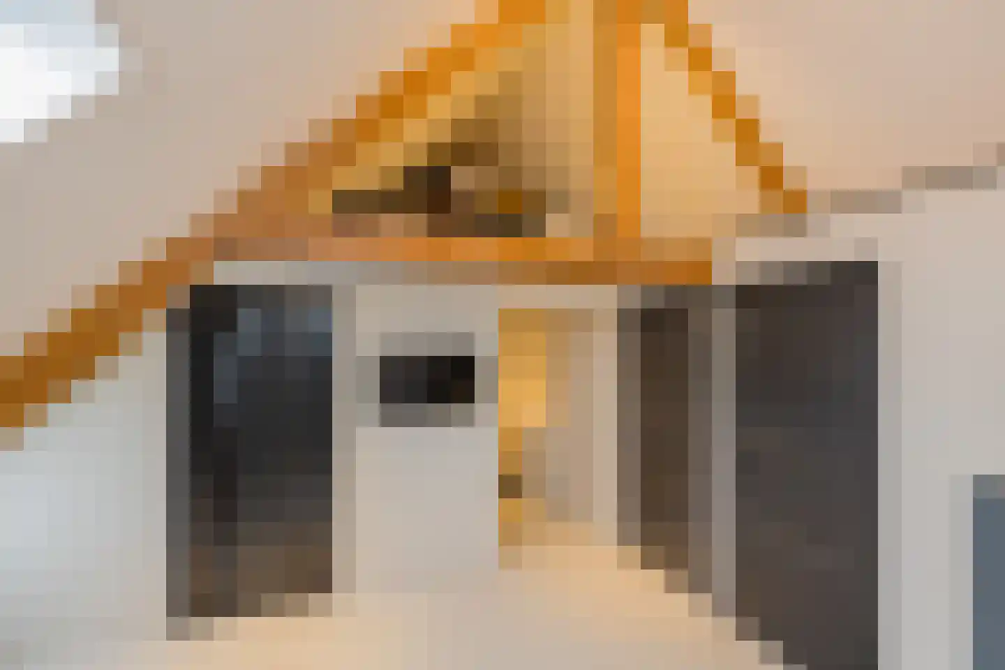 Zwanendreef 18 Lisse thumbnail 40
