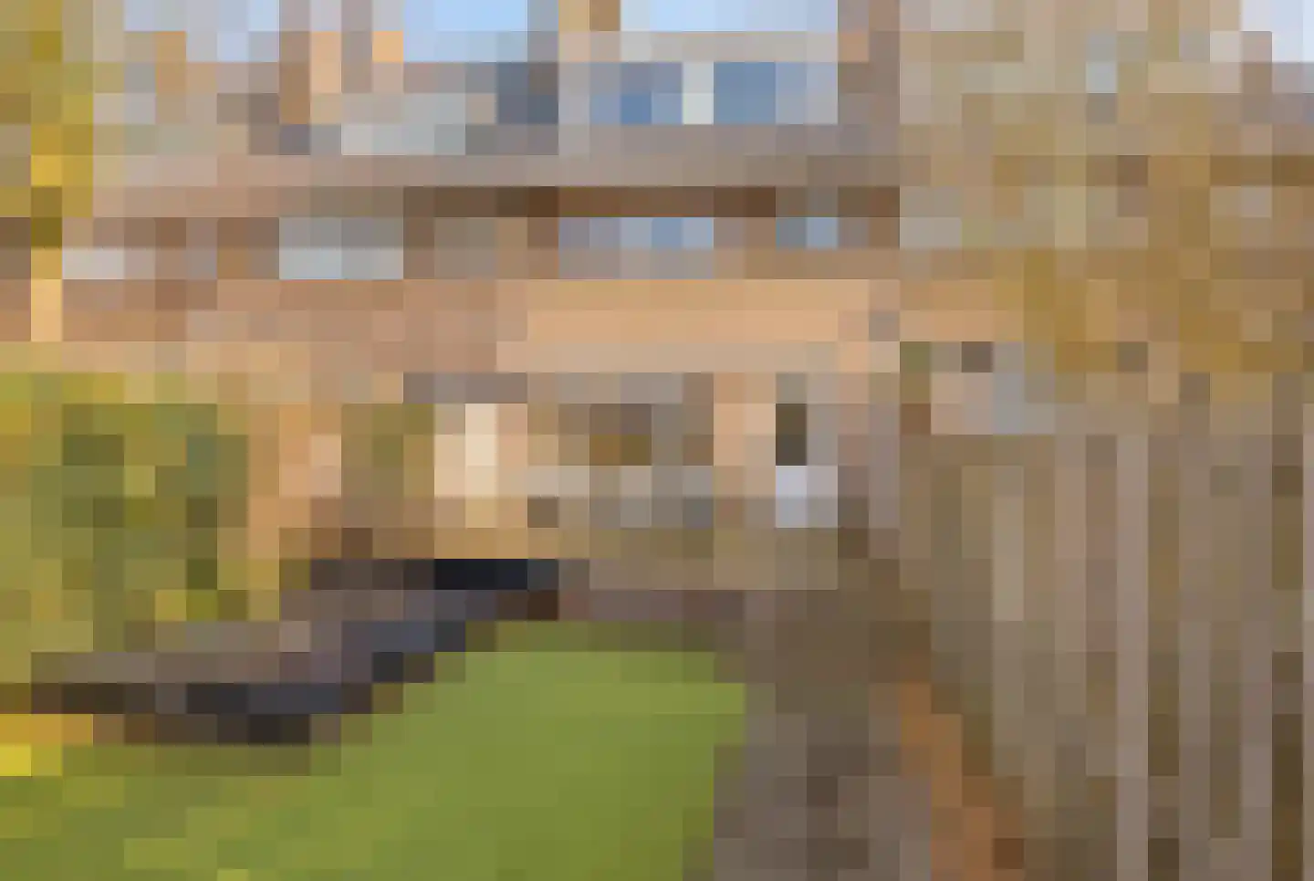 Zwanendreef 18 Lisse thumbnail 50