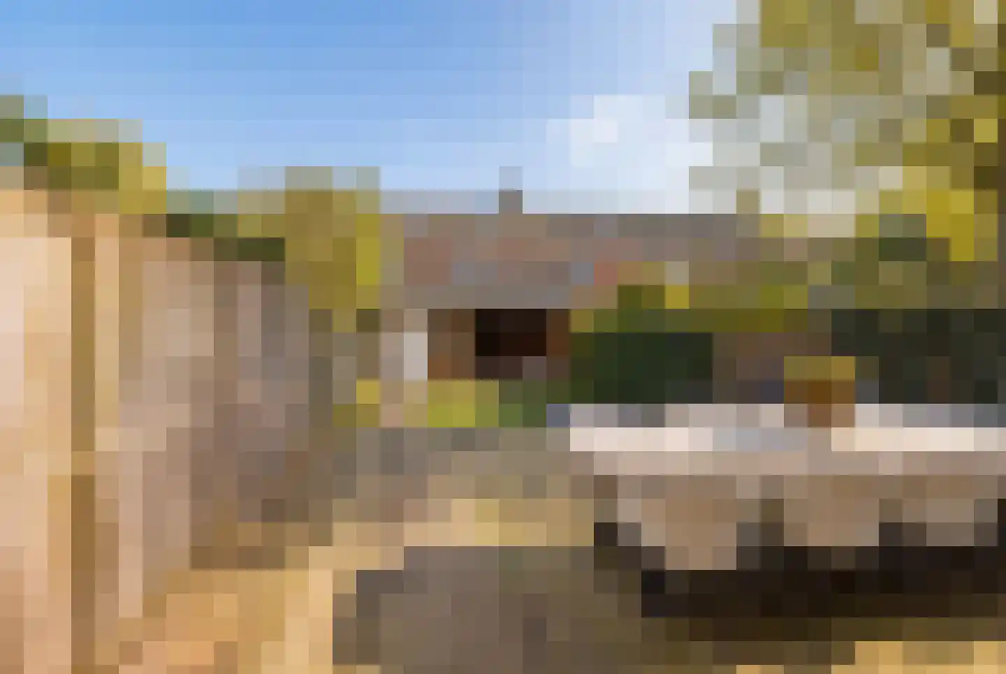 Zwanendreef 18 Lisse thumbnail 52