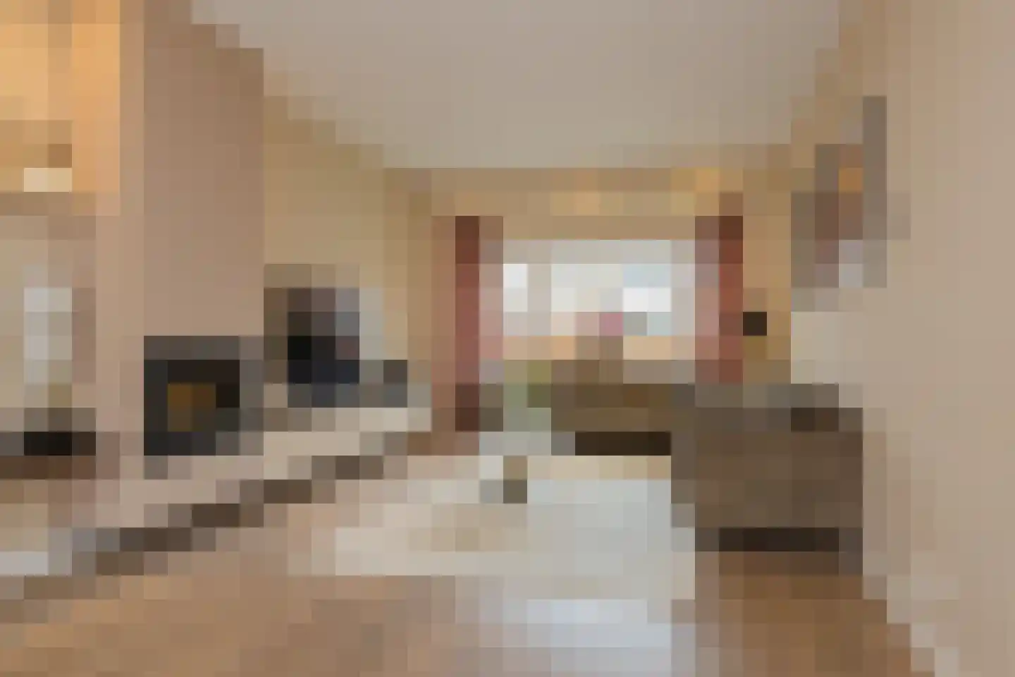 Zwanendreef 18 Lisse thumbnail 7