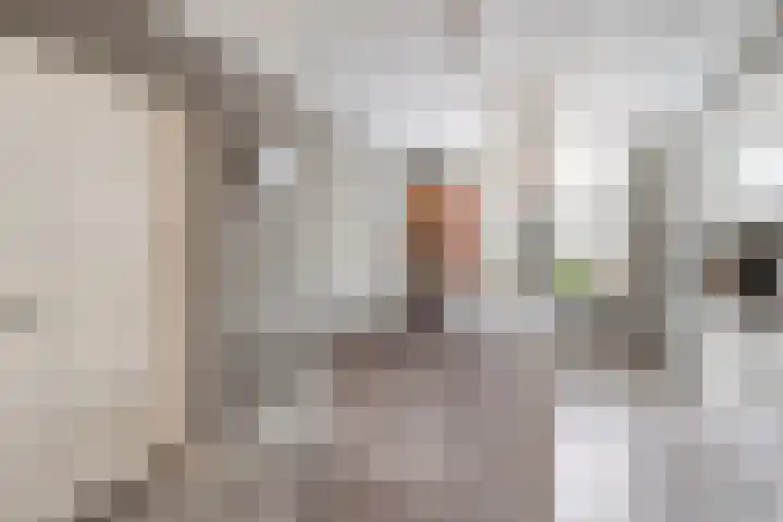 Zwanendreef 2 Stolwijk thumbnail 13