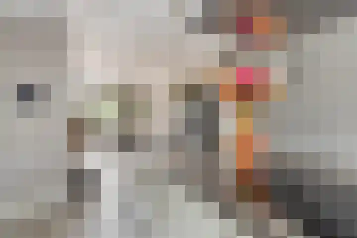Zwanendreef 2 Stolwijk thumbnail 14