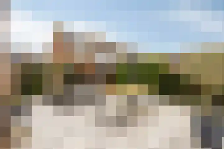 Zwanendreef 2 Stolwijk thumbnail 30