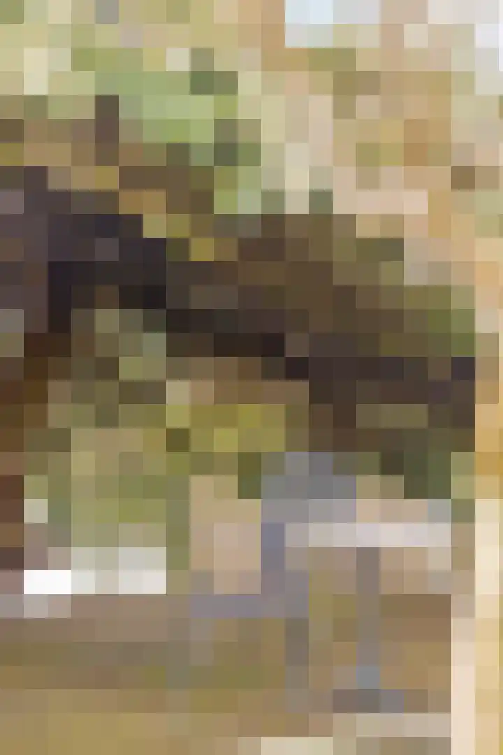 Zwanendreef 2 Stolwijk thumbnail 32