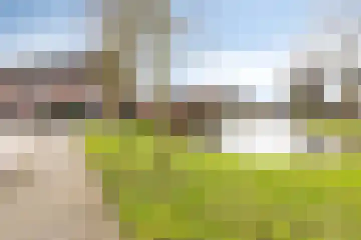 Zwanendreef 2 Stolwijk thumbnail 34