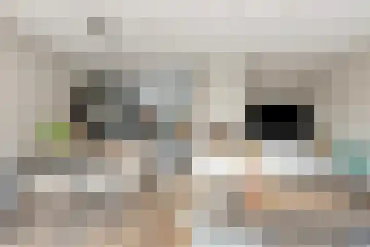 Zwanendreef 2 Stolwijk thumbnail 7