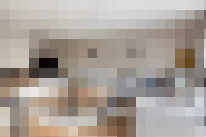 Zwanendreef 2 Stolwijk thumbnail 8