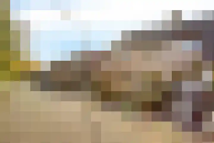 Zwanendreef 20 Aarle-Rixtel thumbnail 10