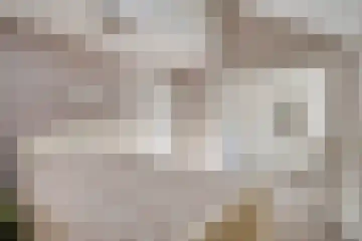 Zwanendreef 20 Aarle-Rixtel thumbnail 27