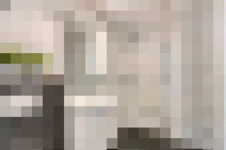 Zwanendreef 20 Aarle-Rixtel thumbnail 32