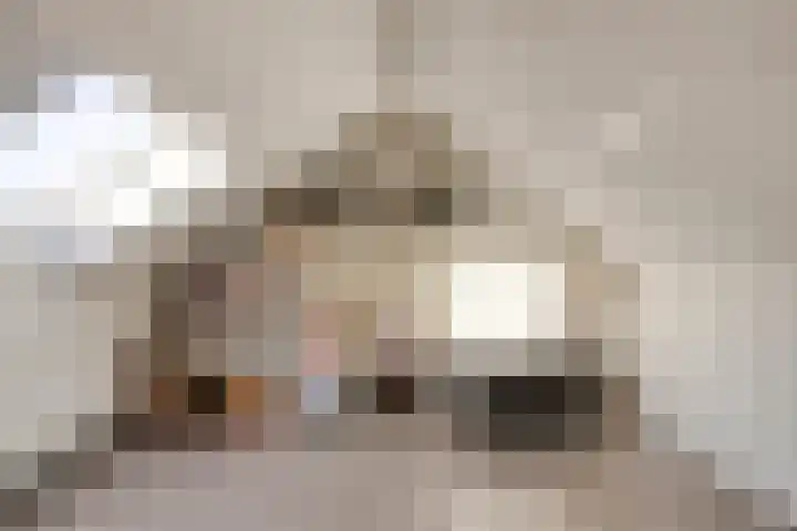 Zwanendreef 20 Aarle-Rixtel thumbnail 34