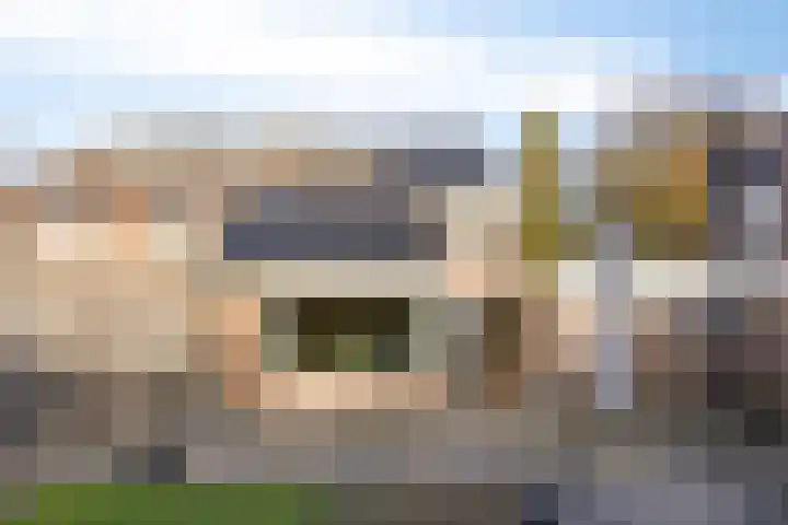 Zwanendreef 20 Aarle-Rixtel thumbnail 36