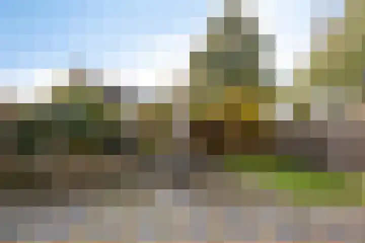 Zwanendreef 20 Aarle-Rixtel thumbnail 38
