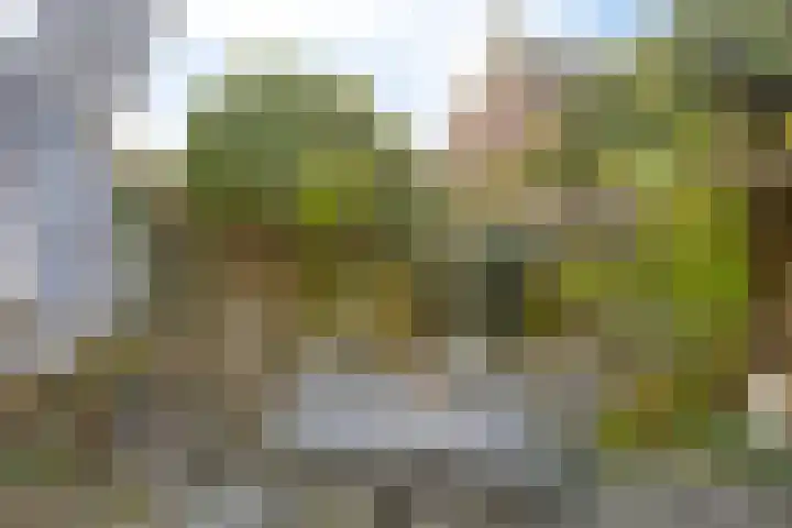 Zwanendreef 20 Aarle-Rixtel thumbnail 39