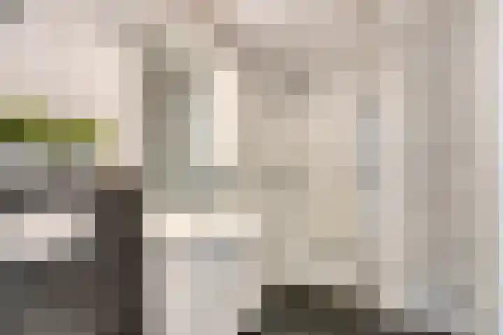 Zwanendreef 20 Aarle-Rixtel thumbnail 4